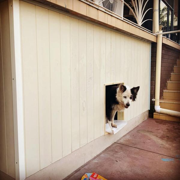 Dog kennel built into void to create large weather proof space while blending with aesthetic of the house.